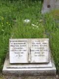 image of grave number 719773